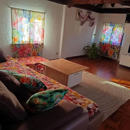 Hala's House