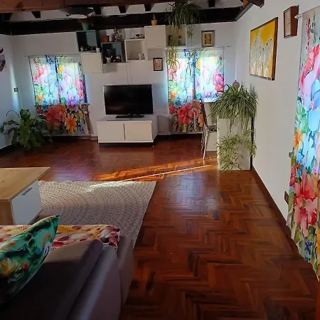 Hala's House